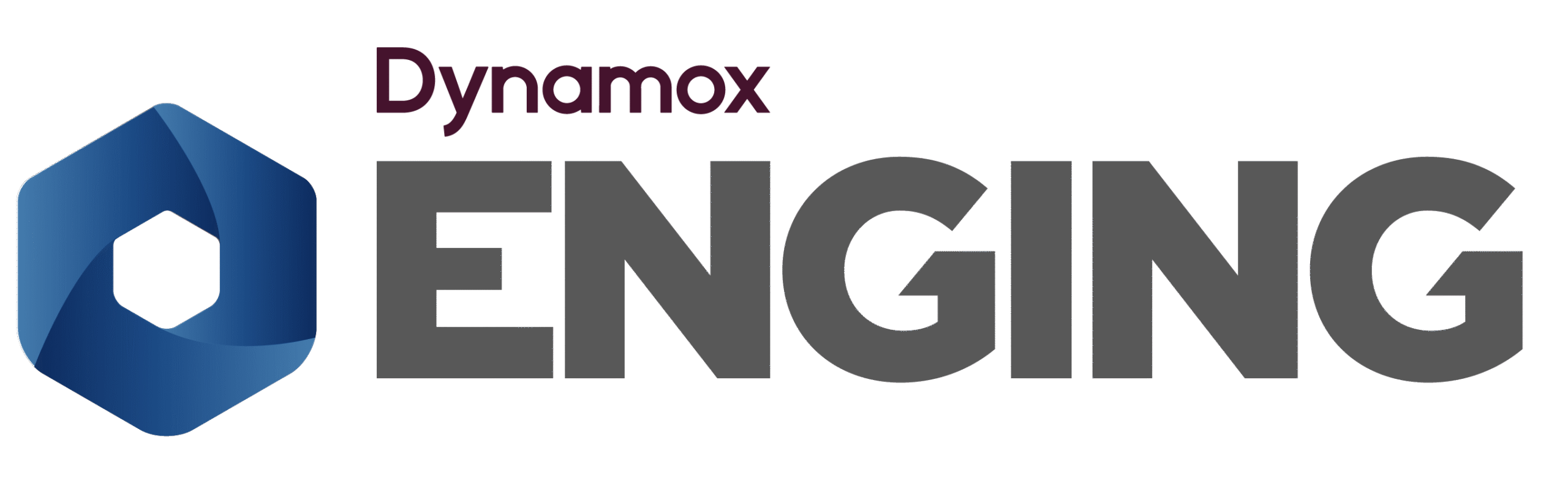 Logo-Dynamox-Enging.png